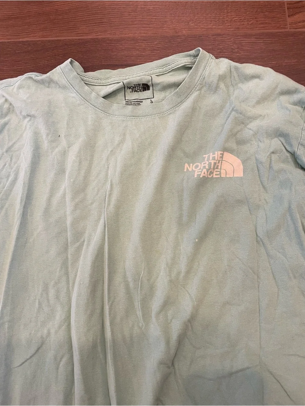 The North Face Mint Green Scenic Back Graphic Long Sleeve Shirt